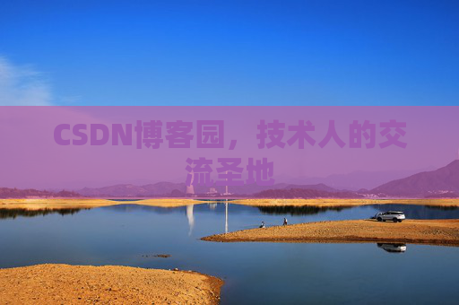 CSDN博客园，技术人的交流圣地