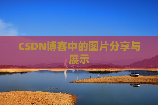 CSDN博客中的图片分享与展示